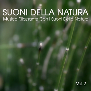Notturno n.22 Opus 27 (1835)
