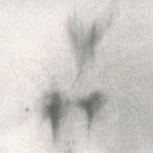 Let It Rain on the Fire (sh4dows Remix)