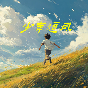 少年追风