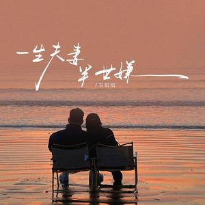 一生夫妻半世嫌