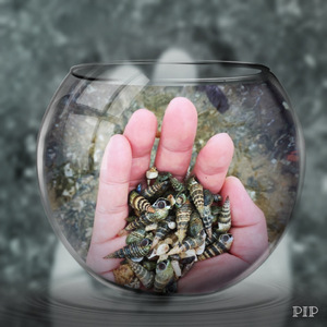 海之冥想曲3【忘却】