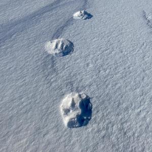 天下无人不冤，有情皆孽