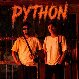 Python