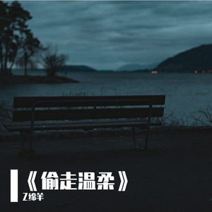 《偷走温柔》