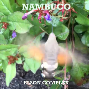 Nambuco