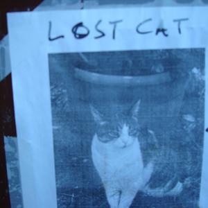 Do u really love me, or are you just saying that?