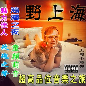 我的球场（翻自 阿呜）