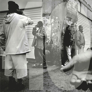 I ragazzi dello zoo di Torino