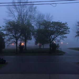 you came out from this world