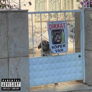 DISSKOGRAFI 2