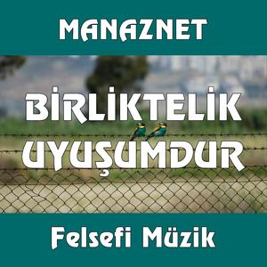 Birliktelik uyuşumdur