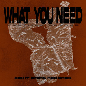 What You Need (Festival Bounce) [Extended Mix]