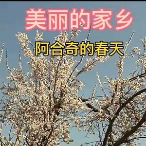 Ata Jurt Ajare 美丽的家乡