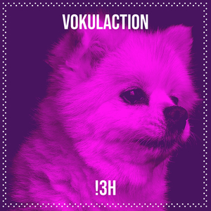 Vokulaction