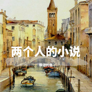两个人的小说