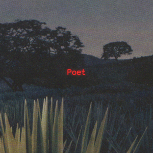 Poet (Demo)