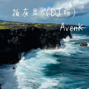 拍灰舞（DJ版）