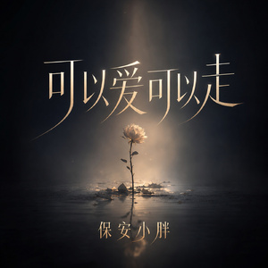 可以爱可以走