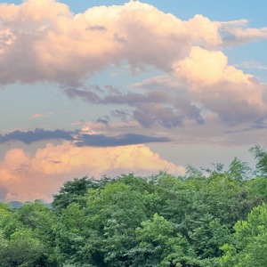 怪我吧别怪天气