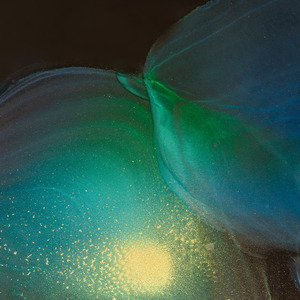 Pulse Velocity (Digital Bonus)