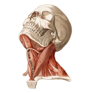 모든 건 지나간다