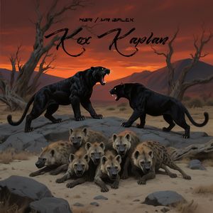 Kox kaplan《双豹》