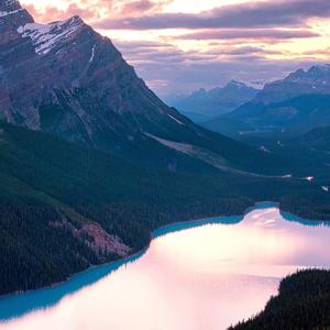 猪大肠的孤单 (2)