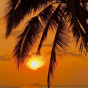 未寄出的情书（钢琴曲）