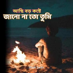 আছি বড় কষ্টে জানো না তো তুমি