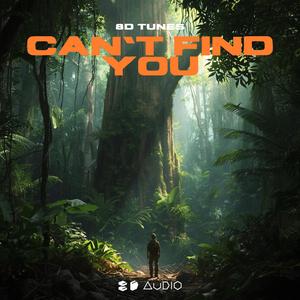 Can't Find You