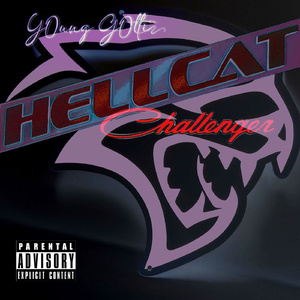 H3LLCAT CHALLENGER