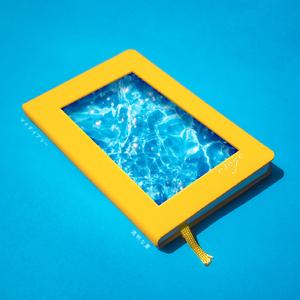 マイダイアリー