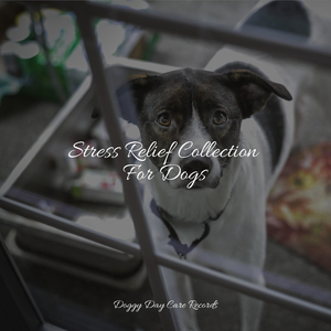 Chill Before Snoozing