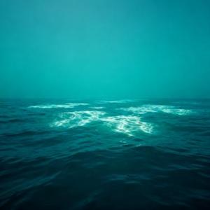 不要说话 (Cover 王靖雯)