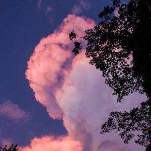 晃晃悠悠已经十年（翻自 好多人）