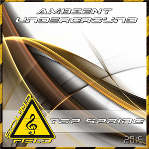 Slow Acid (Original Mix)