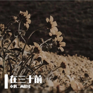 你在成都的夜里想着谁