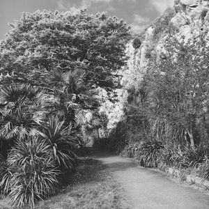 微妙的温泉心情