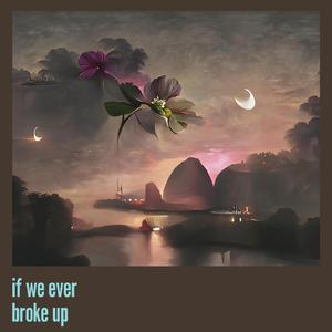 If We Ever Broke Up