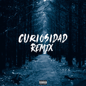 Curiosidad (Remix) [feat. Disy911]