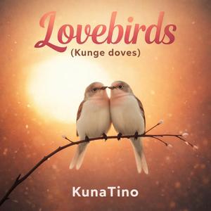 Lovebirds (Kunge doves)