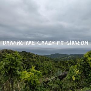 Driving Me Crazy (feat. SIMEON)