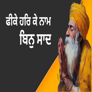 ਫੀਕੇ ਹਰਿ ਕੇ ਨਾਮ ਬਿਨੁ ਸਾਦ