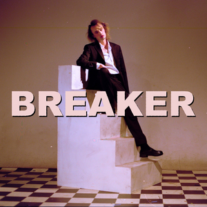 Breaker