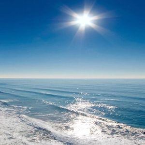 Sunny