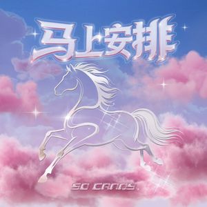 马上安排