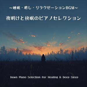 柔らかな光と安らぎの調べ