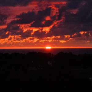 Amor a Primera Letra