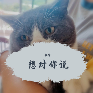 天空的心