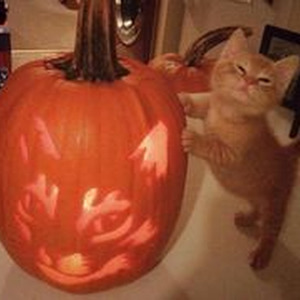 All N My Grill (slowed)